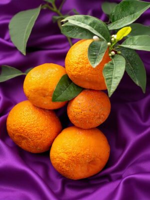 Bush Orange (Hybrid)