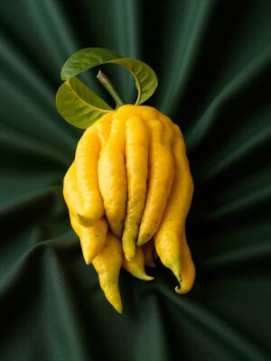 Finger Lemon