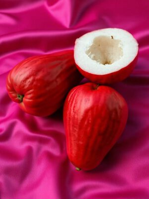 Chamba – Seedless Chamba