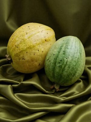 Guava – Variegated Guava
