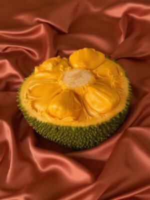 Jackfruit – J33 Honey Jackfruit