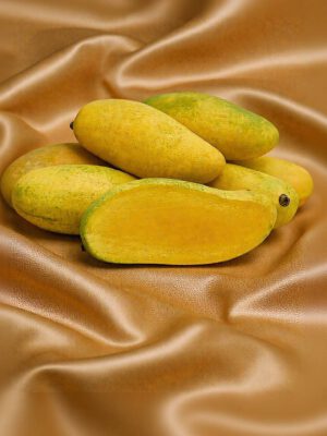 Mango – Thailand Mango