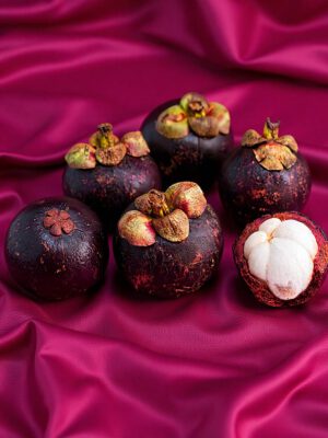 Mangosteen (Seedling)