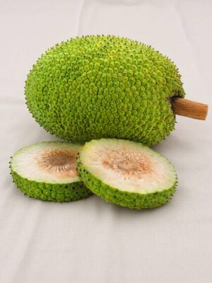 Kadaplavu – Breadfruit