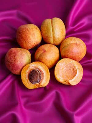 Apricot