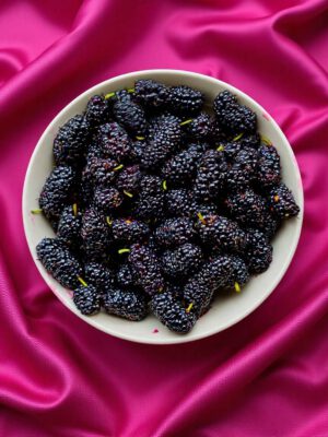 Mulberry – Pakistan Mulberry