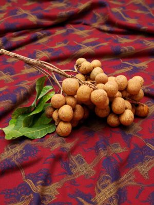 Longan – Diamond River Longan