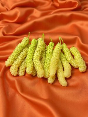 Mulberry – Yellow Mulberry