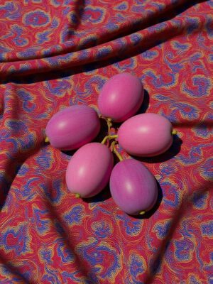 Plums – Indonesian Plums