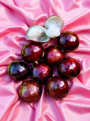 Jaboticaba – Red Jaboticaba