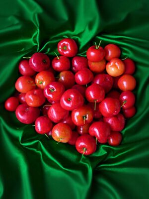 Cherry – West Indian Cherry (Seedling)